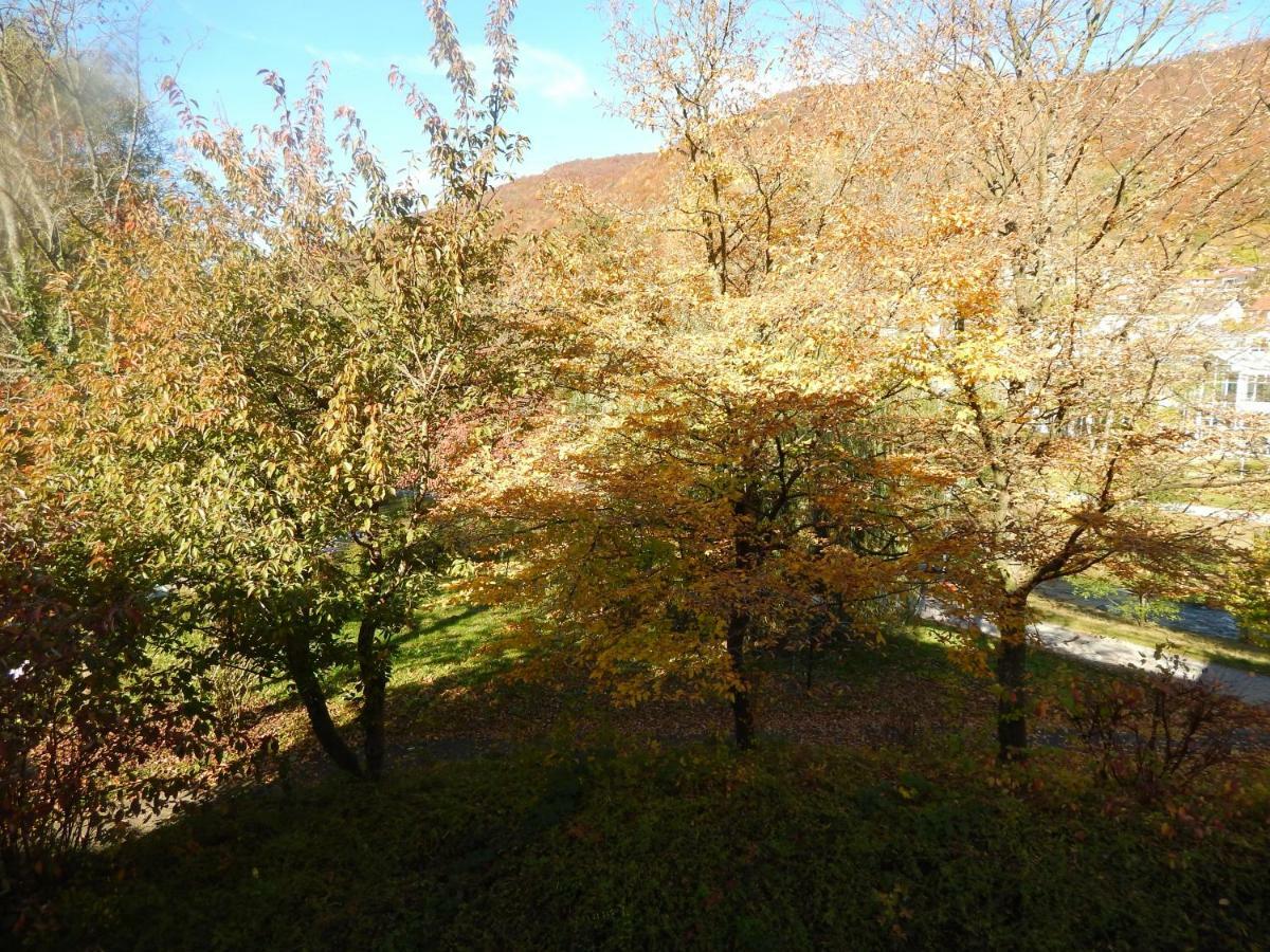 Free Apartment - Bei Den Thermen Bad Urach Exterior photo